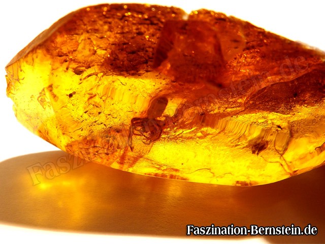 Bernstein-Insekt-Inklusen