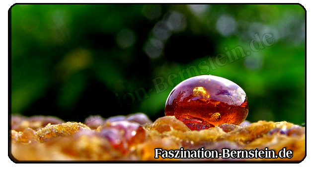 Bernstein Harz Bernstein Harz